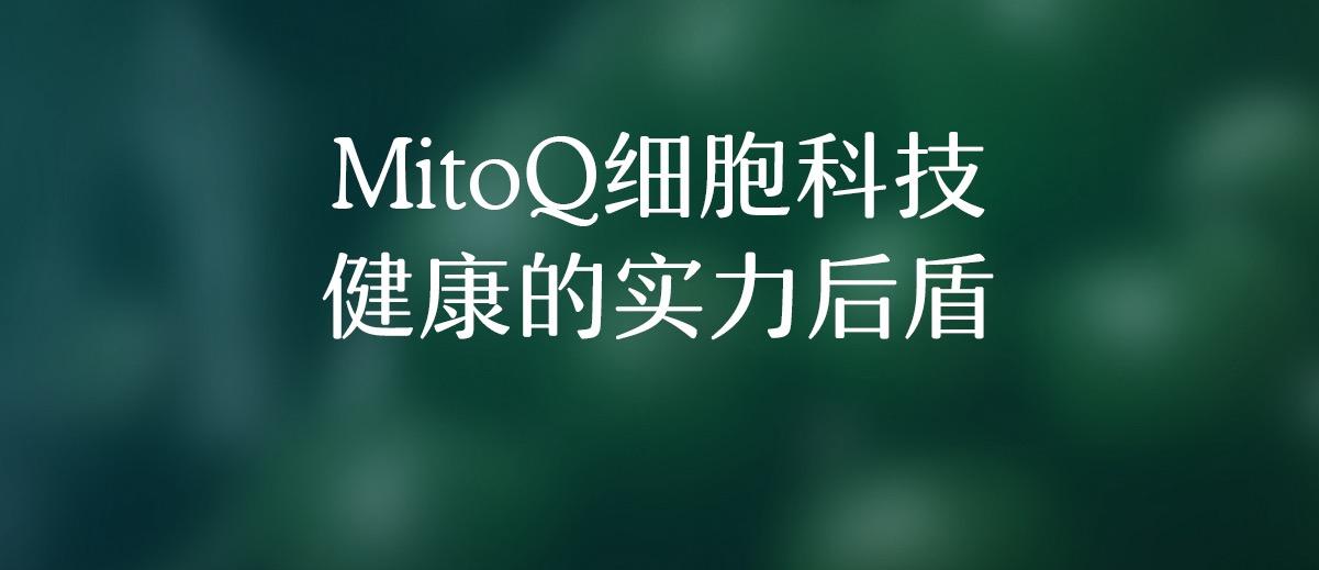 MitoQ 净肝胶囊